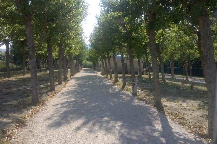 Camping 4 Cerchi, Fermo